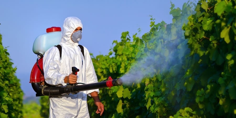 Disinfestazione e trattamenti